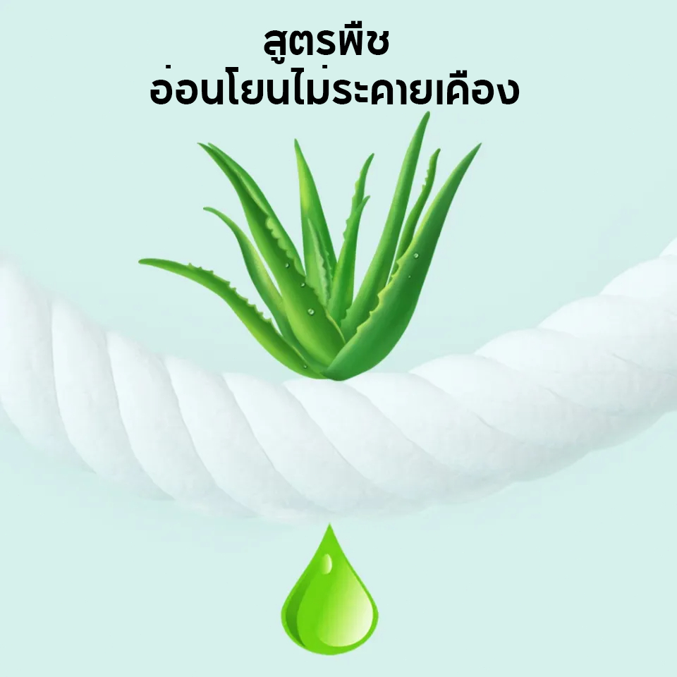 รูปภาพ 4