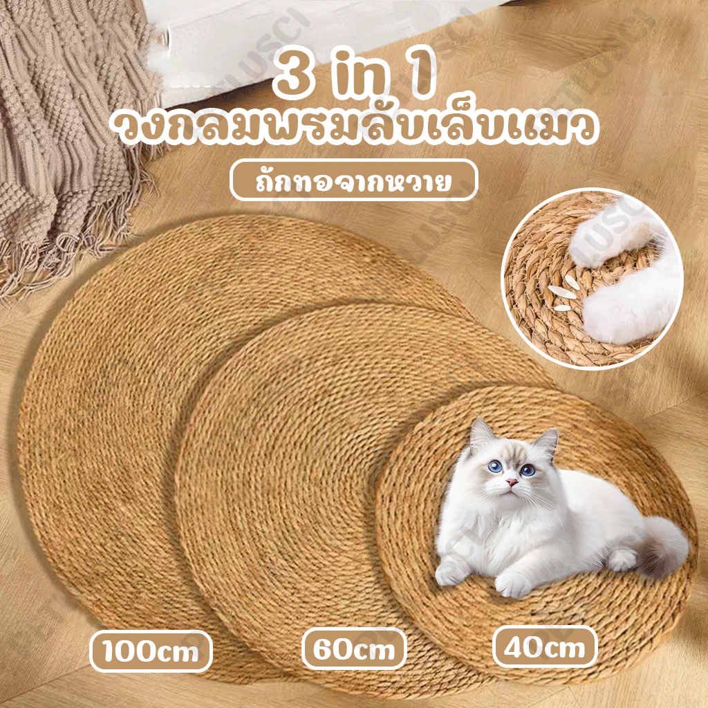 PETLUSCI วงกลมพรมลับเล็บแมว 3in1 มีหญ้าแมว ถักทอจากหวาย 4 ขนาด แผ่นลับเล็บแมว ที่ลับเล็บ เสื่อแมว