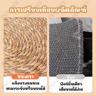 PETLUSCI วงกลมพรมลับเล็บแมว 3in1 มีหญ้าแมว ถักทอจากหวาย 4 ขนาด แผ่นลับเล็บแมว ที่ลับเล็บ เสื่อแมว