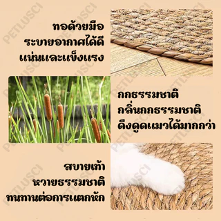 PETLUSCI วงกลมพรมลับเล็บแมว 3in1 มีหญ้าแมว ถักทอจากหวาย 4 ขนาด แผ่นลับเล็บแมว ที่ลับเล็บ เสื่อแมว