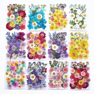 แพคเกจวัสดุลายนูนดอกไม้แห้งลายนูน ทําเอง ที่คั่นหนังสือลายนูน