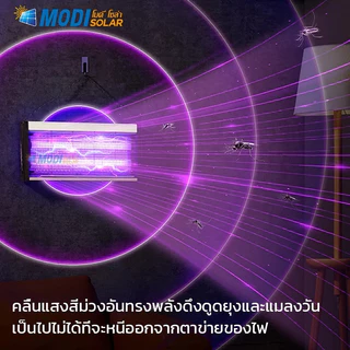นักฆ่ายุงไฟฟ้าหลอดไฟสีดํานักฆ่ายุงนักฆ่ายุงไฟฟ้า