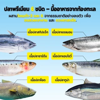 Live Bite Of Wild อาหารแมว F42 10 กก. 6Fish อาหารแมว With Freeze-Dried Premium Holistic 42% High Meat Grain-Free เหมาะสําหรับแมวโต