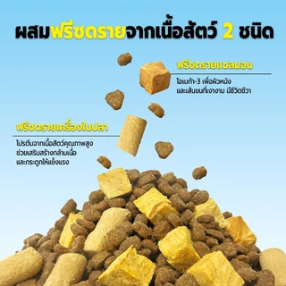 Live Bite Of Wild อาหารแมว F42 10 กก. 6Fish อาหารแมว With Freeze-Dried Premium Holistic 42% High Meat Grain-Free เหมาะสําหรับแมวโต