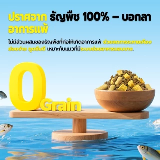 Live Bite Of Wild อาหารแมว F42 10 กก. 6Fish อาหารแมว With Freeze-Dried Premium Holistic 42% High Meat Grain-Free เหมาะสําหรับแมวโต