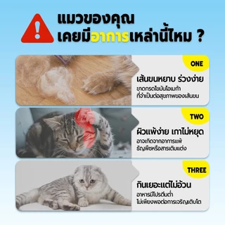 Live Bite Of Wild อาหารแมว F42 10 กก. 6Fish อาหารแมว With Freeze-Dried Premium Holistic 42% High Meat Grain-Free เหมาะสําหรับแมวโต
