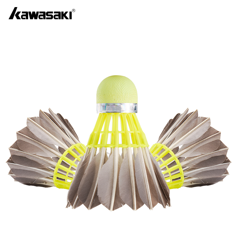 รูปภาพ 9