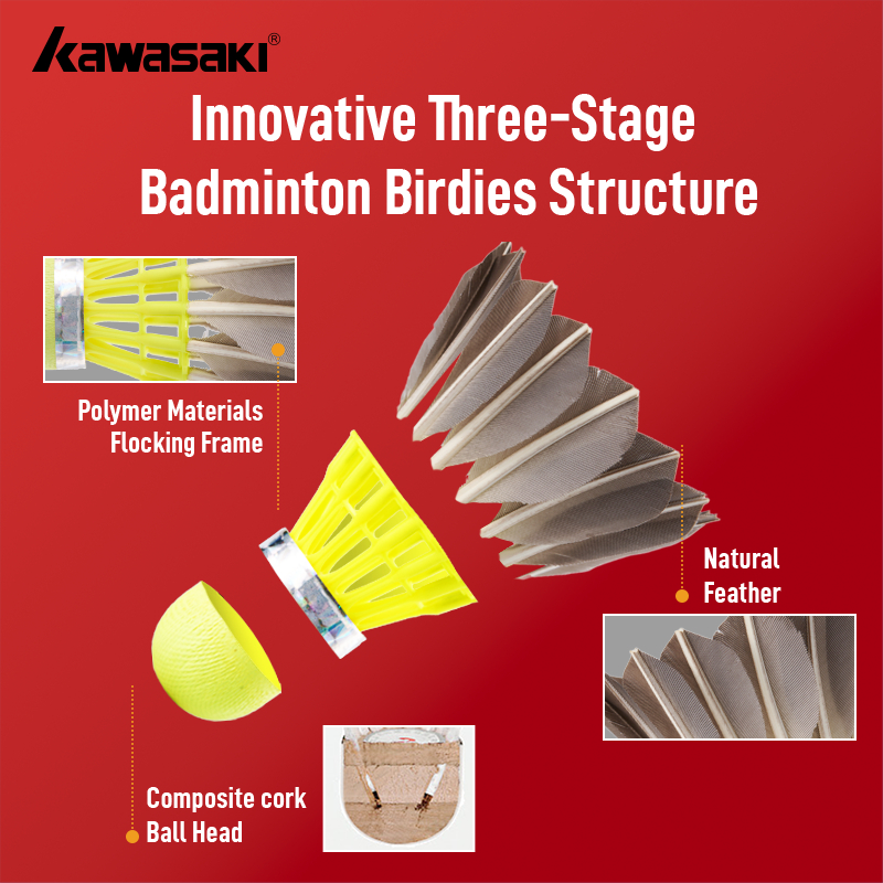 รูปภาพ 8