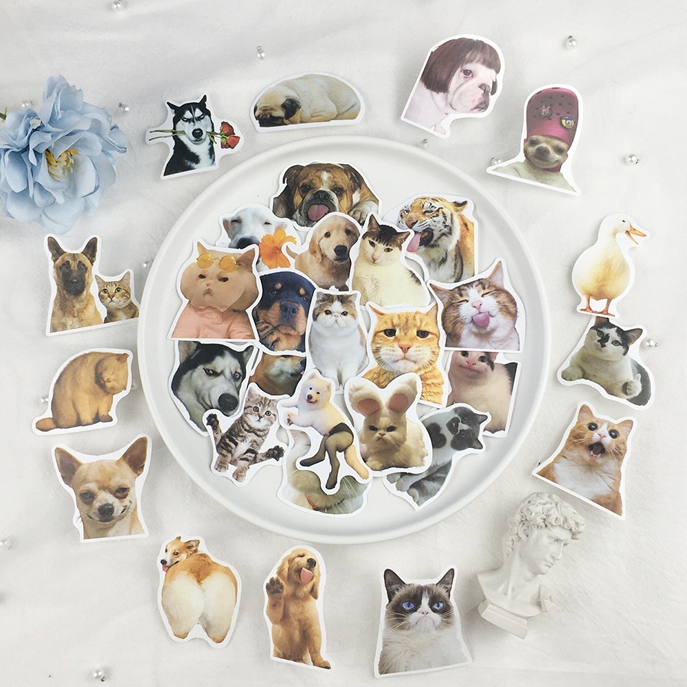 SANRIO 100/200 สติ๊กเกอร์ลายการ์ตูนซานริโอ สติ๊กเกอร์ตกแต่ง ทําเอง แฮนด์เมดสําหรับตกแต่งแล็ปท็อป เคสโทรศัพท์ กระเป๋าเดินทาง - รูปที่ 6