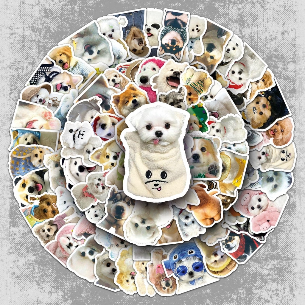 SANRIO 100/200 สติ๊กเกอร์ลายการ์ตูนซานริโอ สติ๊กเกอร์ตกแต่ง ทําเอง แฮนด์เมดสําหรับตกแต่งแล็ปท็อป เคสโทรศัพท์ กระเป๋าเดินทาง - รูปที่ 7