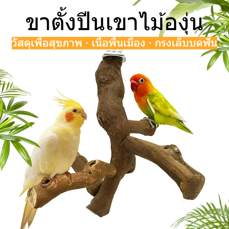 เหมาะสําหรับบูดเรีย, เลิฟเบิร์ด, นกกระตั้ว, ก้านน, ก้านลับเล็บ, ตกแต่งกรงนก สัตว์เลี้ยงนกแก้วก้านยืนวัสดุไม้องุ่น
