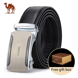 เข็มขัดผู้ชาย CAMEL CROWN DF193408-10-1