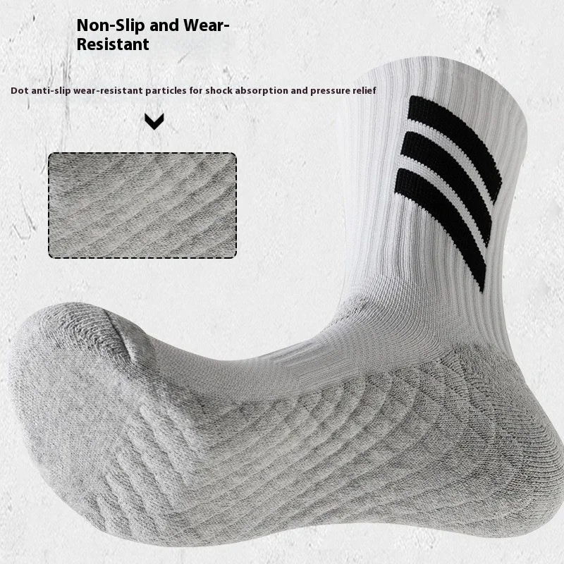 รูปภาพ 5