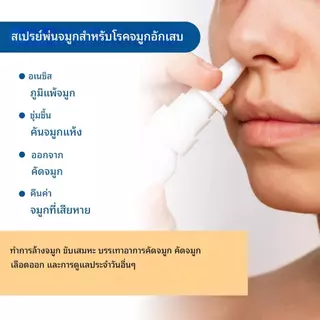 【COD】สเปรย์ฉีดจมูก สเปรย์พ่นจมูก 30ml สเปรย์รักษาโรคจมูกอักเสบและไซนัสอักเสบ บรรเทาอาการคันและคัด EELHOE