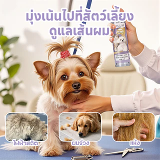 สเปรย์ป้องกันขนพัน-ไฟฟ้าสถิตย์ 100ML หอมนาน Grooming Spray ทรีทเม้นท์สเปรย์เพื่อขนนุ่มสวย