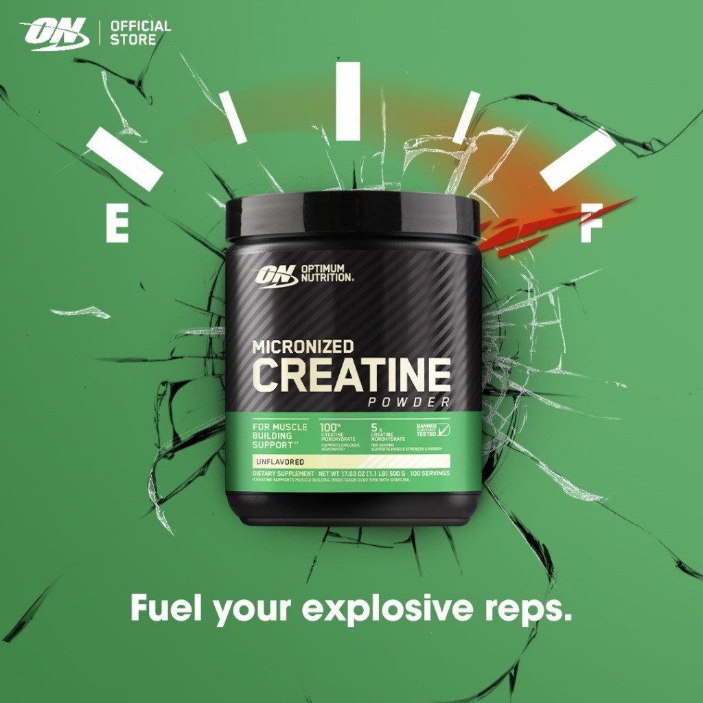 Optimum Nutrition Micronized Creatine Monohydrate Powder[300G]