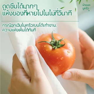【8 ห่อ】Royo Panda กระดาษเช็ดครัวแบบติดผนังถอดได้ ซึมซับน้ำมันและน้ำได้ดี 2 ชั้น 400 แผ่น 230*195มม