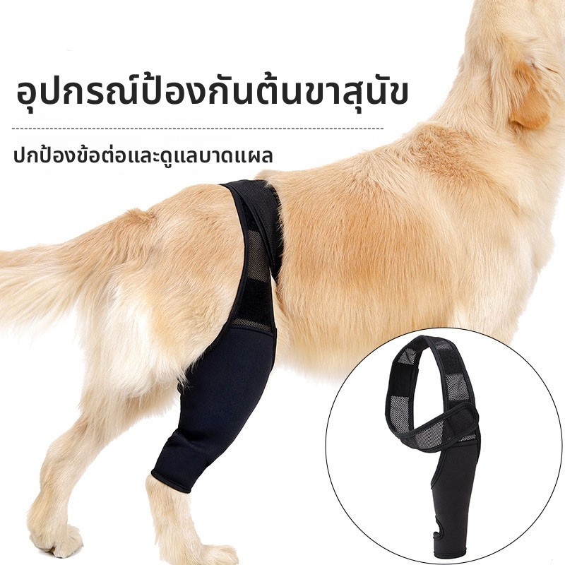 ส่งจากไทย!ผ้ารัดขาสุนัข เฝือกอ่อน สุนัข เฝือกอ่อนสุนัข PET Leg Support หลังผ่าตัด สำหรับข้อเท้าหลัง สำหรับข้อเท้าหน้า