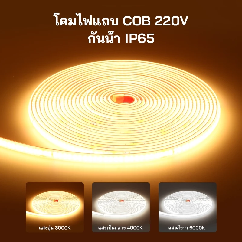 แถบไฟ LED ใต้น้ํา 220V IP68 กันน้ําสามารถทําให้ในน้ํามาพร้อมกับปลั๊กกาวและเล่น 3-20 เมตร