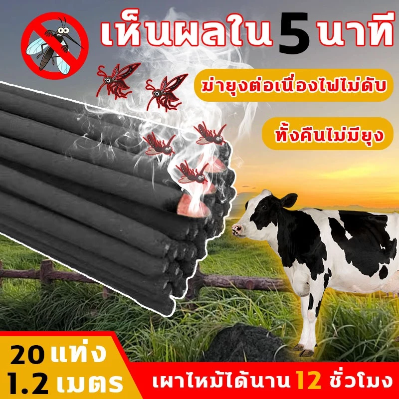 ธูปจัมโบ้ตะไคร้ ไล่ 20 แท่ง 1.2 เมตร เผาไหม้ได้นาน 12 ชั่วโมง ธูปตะไคร้ไล่ยุง กำจัดยุง ฆ่าเชื้อ และขจัดกลิ่น เห็นผลใน 5 นาที ธูปไล่ ธูป กำ จัด ยุง