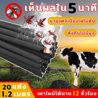 ธูปจัมโบ้ตะไคร้ ไล่ 20 แท่ง 1.2 เมตร เผาไหม้ได้นาน 12 ชั่วโมง ธูปตะไคร้ไล่ยุง กำจัดยุง ฆ่าเชื้อ และขจัดกลิ่น เห็นผลใน 5 นาที ธูปไล่ ธูป กำ จัด ยุง