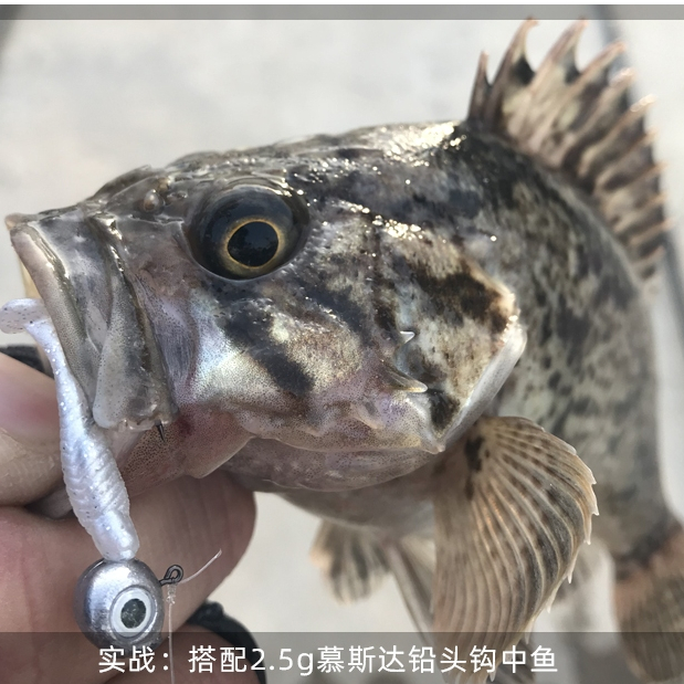 Yupo Lure เหยื่ออ่อน T-Tail Mini Micro Root ตกปลาเหยื่ออ่อน 2.8 ซม.เหยื่อปลอมขนาดเล็กพิเศษปากกลับหัวเก้าหินเหยื่อชาย - รูปที่ 4