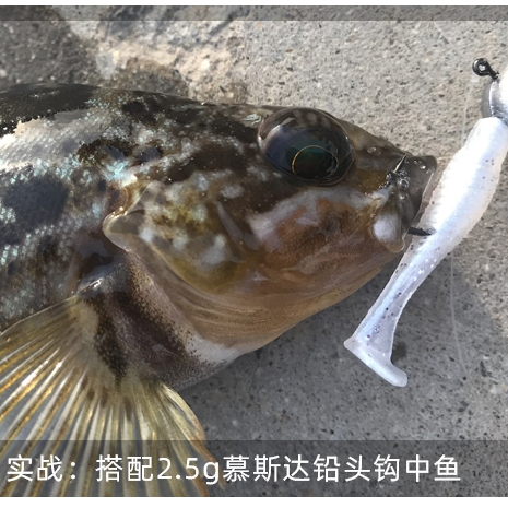 Yupo Lure เหยื่ออ่อน T-Tail Mini Micro Root ตกปลาเหยื่ออ่อน 2.8 ซม.เหยื่อปลอมขนาดเล็กพิเศษปากกลับหัวเก้าหินเหยื่อชาย - รูปที่ 6