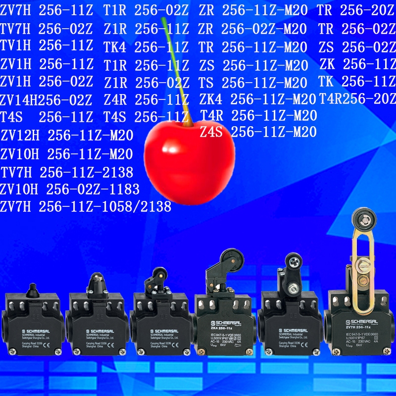 ลิมิตสวิตช์ ZR 256-11z-m20 TR 256-02Z ZV7H 256-11Z TV7H 256-02Z TV7H 256-11Z-2138 ZK4 256-11Z-M20 ZV