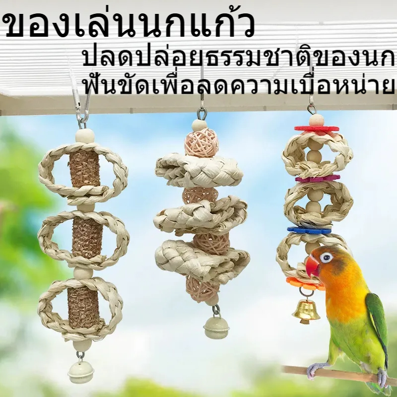 นกแก้วของเล่นข้าวโพดผิวแขวนสตริงดอกโบตั๋นสีน้ําตาลฟีนิกซ์ฟันกรามบรรเทาเบื่อเคี้ยวที่มาพร้อมกับของเล่นกรงนกอุปกรณ์ตกแต่ง รัก