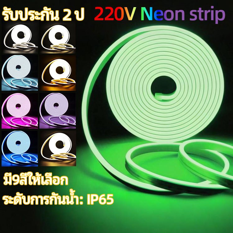 มี9สีให้เลือก  ไฟนีออน พร้อมความยาวของแถบความยาวของแสงตกแต่งที่ยืดหยุ่น  220V พร้อมปลั๊ก Neon Light strip ไฟตกแต่ง คริสมาส ไฟตกแต่งสวน