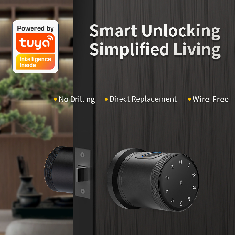 Home Security 5-in-1 Tuya Smart Ball Lock - บลูทูธลายนิ้วมือรหัสผ่าน APP Auto-Lock