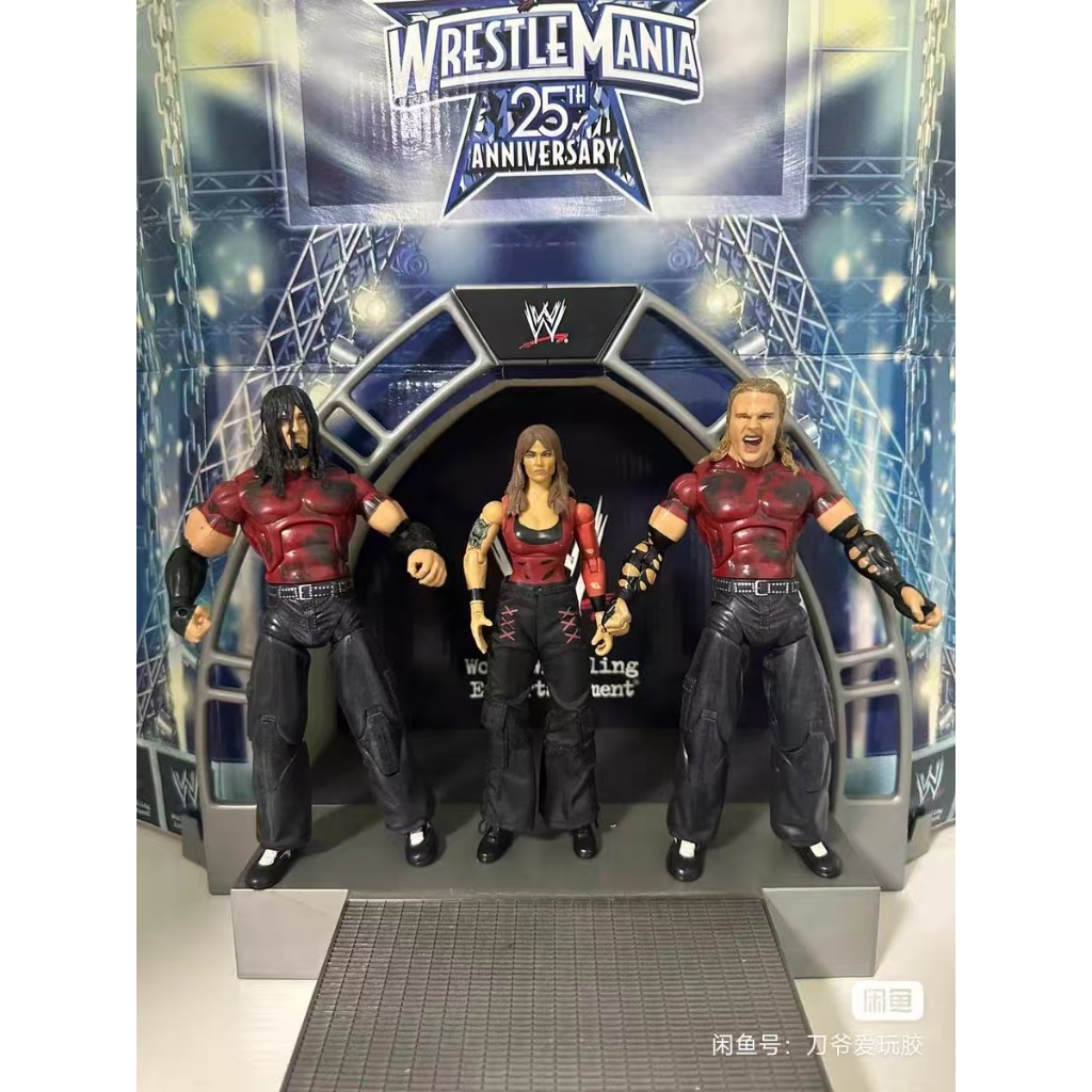 Wwe Mattel Arena Wrestlerler Action Figure Jeff Hardy Super Action Figure