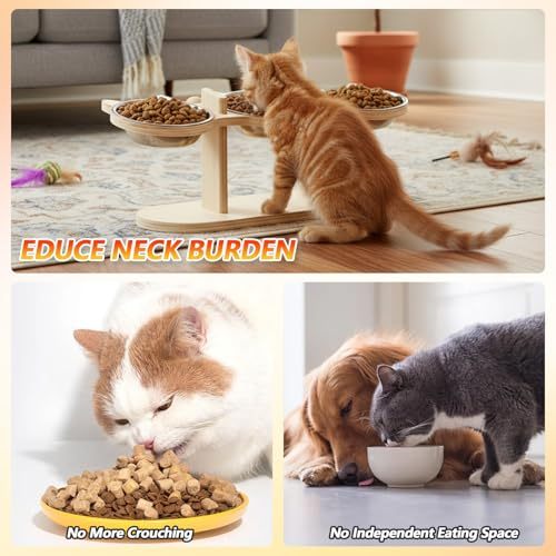 ชามอาหารสัตว์แบบยกสูง พร้อมขาตั้งไม้ 3ชาม สำหรับหมาแมว ดีไซน์เกาหลี ทำความสะอาดง่าย Elevated Wooden Pet Bowl - รูปที่ 4