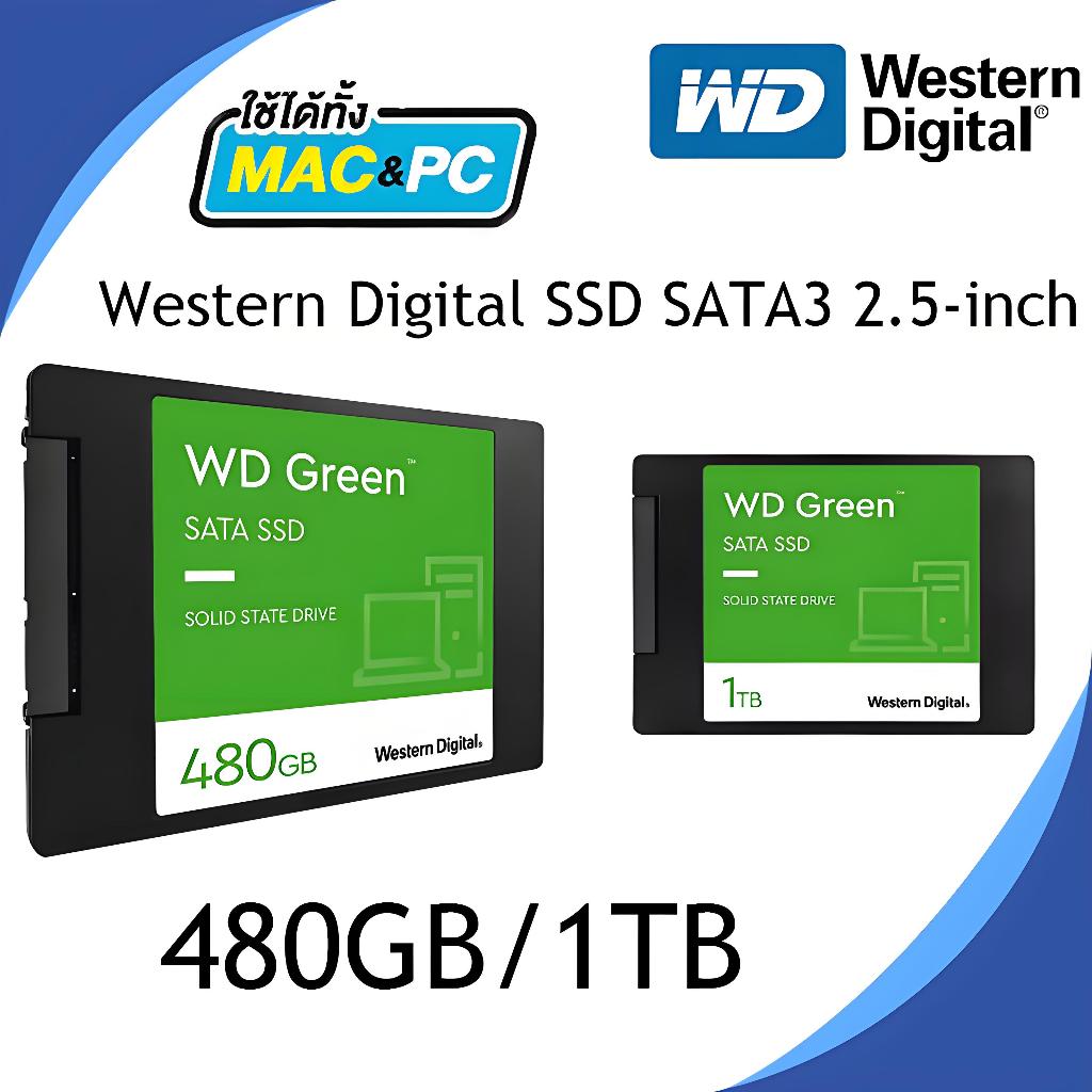 Green SSD 2.5''Solid State Drives 240GB/480GB/960GB 6.0Gb/s Internal hard drive SATA3