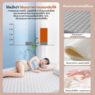 DreamHug ที่นอนยางพารา 100% 3/3.5ฟุต 5 ฟุต 6 ฟุต latex mattress ที่นอนใยยางพารา ใช้นอนบนพื้นได้ เก็บได้ ลดอาการปวดหลัง รองรับสรีระ ไม่ยอมยุบตัว