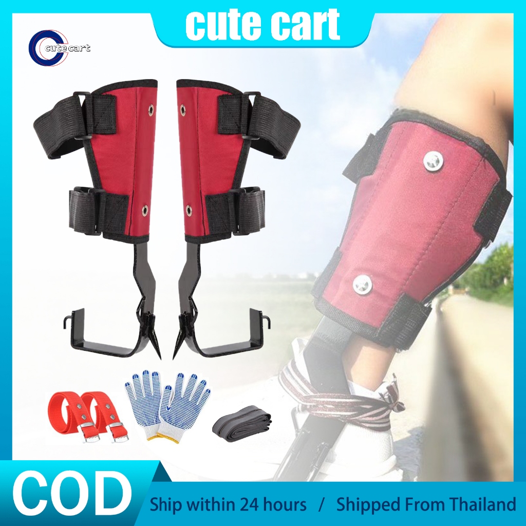 แบบพกพาปรับต้นไม้ปีนเขา Spikes (พร้อมกรงเล็บ, Footbands, ข้อเท้าสายรัดและถุงมือ) – สําหรับเก็บผลไม้, การล่าสัตว์และกิ่งไม้ตัดแต่ง