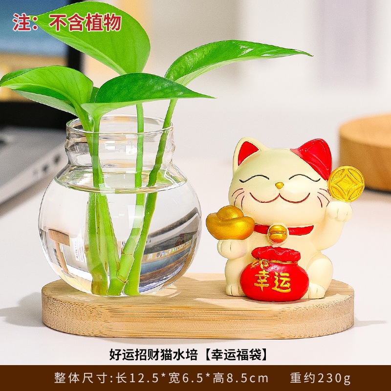 แจกัน Lucky cat และ pothos hydroponic เครื่องรางนําโชคสําหรับตู้ทีวีห้องนั่งเล่นและโต๊ะทํางาน (ไม่รว