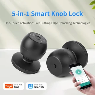 สมาร์ทลายนิ้วมือประตูล็อค Tuya APP บลูทูธสมาร์ทล็อค Biometric ประตูล็อค TUYA App สําหรับบ้านห้องนอน