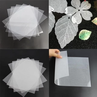 20 ชิ้น DIY แผ่นฟิล์มหด (2014.5 ซม., 0.3 มม.) - พลาสติกใสและโปร่งแสง Pre-Sanded ความร้อนหดพลาสติกสําหรับงานฝีมือทํามือ, พวงกุญแจ, ต่างหู, กิ๊บติดผมและตกแต่งงานปาร์ตี้, Printab