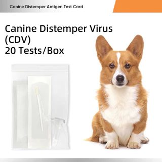 ชุดตรวจไวรัสสำหรับสุนัขและแมว CDV / CPV / CCV / FPV (20 ชุดต่อกล่อง) / Pet Virus Rapid Test Kit