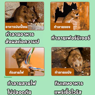 🐭 อัปเกรดใหม่ล่าสุด อุปกรณ์ไล่หนูสุดล้ำ 🐭 กําจัดหนู ยากําจัดหนู ยาไล่หนู ไล่หนู วางไว้ที่มุมเดียว หายเกลี้ยง ยา เจลไล่