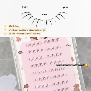 Self-Adhesive Cat Claw ขนตาล่างล้างรากธรรมชาติแบ่งส่วนจําลองสามเณรขนตา