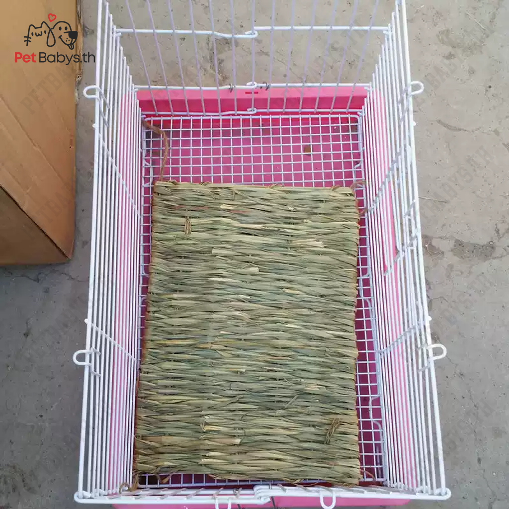 🐰ที่นอนหญ้าแห้ง เสื่อหญ้า รองพื้นกรงกินได้ สำหรับ กระต่าย หนูตะเภา แฮมเตอร์ เม่น ดัมโบ้แรท ชินชิล่า - รูปที่ 6