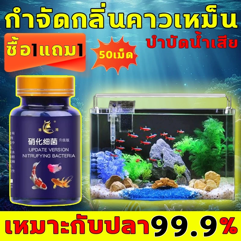 จุลินทรีย์บ่อปลา ตู้ปลา สลายขี้ปลา บำบัดน้ำเสีย ปรับคุณภาพน้ำ