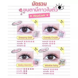 【มีส่งด่วนในเวลาทำการ】รวมรุ่นขนตามีกาวในตัวยอดฮิตจาก HeyeLash ติดง่าย ไม่ง้อกาว