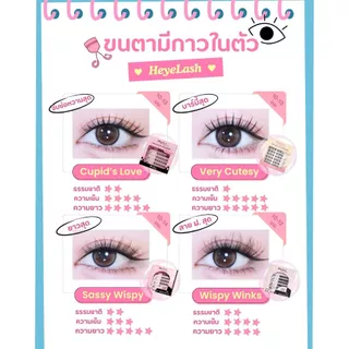 【มีส่งด่วนในเวลาทำการ】รวมรุ่นขนตามีกาวในตัวยอดฮิตจาก HeyeLash ติดง่าย ไม่ง้อกาว