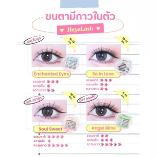 【มีส่งด่วนในเวลาทำการ】รวมรุ่นขนตามีกาวในตัวยอดฮิตจาก HeyeLash ติดง่าย ไม่ง้อกาว