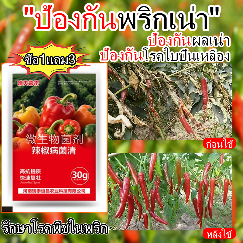 กุ้งแห้งในพริกx3 ซุปเปอร์ไบโอฟิต ไคโตซานพืช ยารักษาโรคพืช โรคพืชฤดูฝน พืชน๊อคน้ำ ใบเหลือง ใบแห้ง โรคพริกเน่า ยาฆ่าเพลี้ย