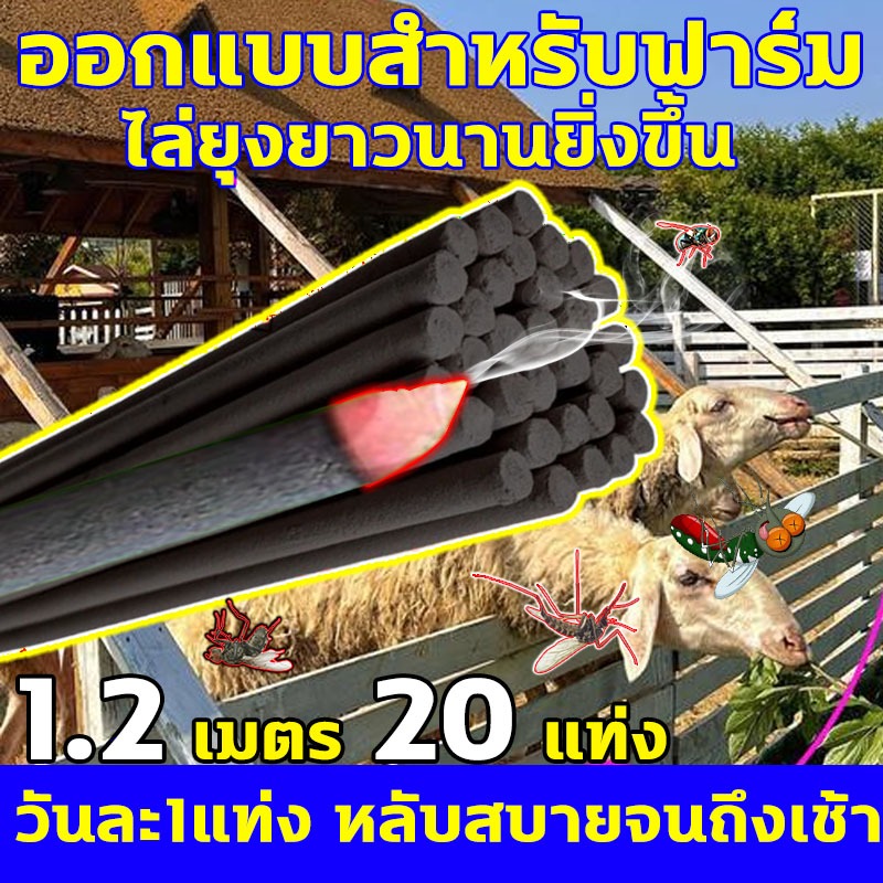 ธูปไล่ยุง กำจัดยุง ฆ่าเชื้อ และขจัดกลิ่น ธูปสมุนไพรตะไคร้ไล่ยุงสีส้ม กำจัดแมลงสองปีกทั้งหมด ธูปจัมโบ้ตะไคร้ ไล่ ออกแบบสำหรับฟาร์ม ไล่ยุงยาวนานยิ่งขึ้น ธูปสมุนไพรไล่ยุง