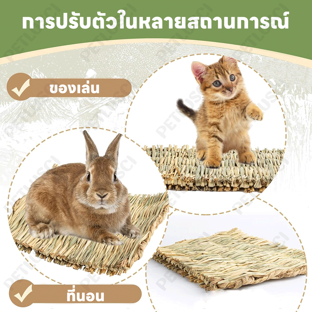PETLUSCI ที่นอนหญ้าแห้ง ที่นอนทำจากหญ้าแห้งสำหรับกระต่าย สำหรับ กระต่าย แฮมเตอร์ เม่น ดัมโบ้แรท ชินชิล่า - รูปที่ 3